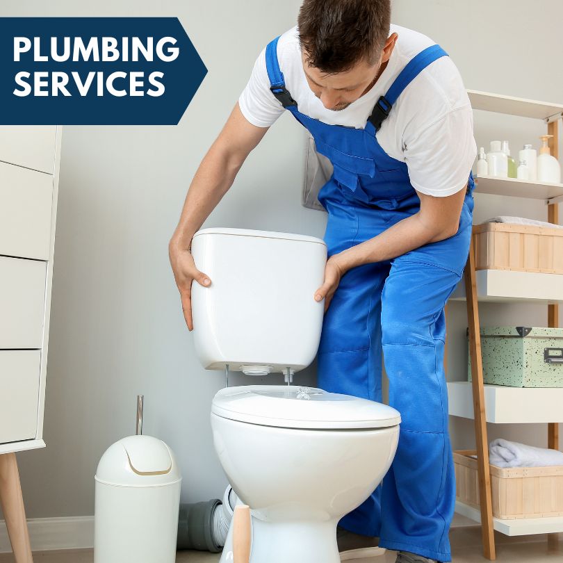 Plumbing Company in Lowman, ID